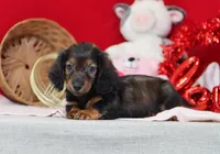 processed/af7e8eec-abfd-44cd-973d-76fe0b80efe9/listing/9ec17830-7c2f-4f1e-bd2a-6d6d77732ac9/4278272e-0f61-4b3c-aef6-9ef21a4308cd