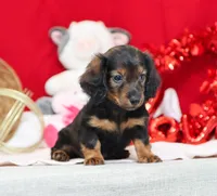 processed/af7e8eec-abfd-44cd-973d-76fe0b80efe9/listing/9ec17830-7c2f-4f1e-bd2a-6d6d77732ac9/bb7a621a-0d84-49aa-9388-78220963e6ff