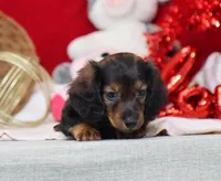 processed/af7e8eec-abfd-44cd-973d-76fe0b80efe9/listing/9ec17830-7c2f-4f1e-bd2a-6d6d77732ac9/ca59e71e-01c4-4f45-bc88-8784739e10fa