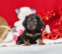 processed/af7e8eec-abfd-44cd-973d-76fe0b80efe9/listing/9ec17830-7c2f-4f1e-bd2a-6d6d77732ac9/d3214a42-e543-467c-b67a-d33a0bd81799