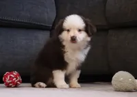 processed/af7e8eec-abfd-44cd-973d-76fe0b80efe9/listing/a43e6c0c-62d1-4e71-b087-a18b135a32b4/2b689845-91ad-427f-a449-27710a213677