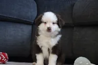 processed/af7e8eec-abfd-44cd-973d-76fe0b80efe9/listing/a43e6c0c-62d1-4e71-b087-a18b135a32b4/3b0c270f-c133-4cc6-94d6-fc744915ddcb