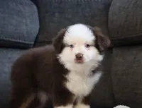 processed/af7e8eec-abfd-44cd-973d-76fe0b80efe9/listing/a43e6c0c-62d1-4e71-b087-a18b135a32b4/c8046bdb-8316-41b3-916b-ae58a36e2b3b