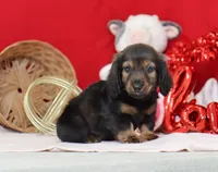 processed/af7e8eec-abfd-44cd-973d-76fe0b80efe9/listing/f05efd6b-91d9-498f-8105-025778490e7c/064a31c0-ac89-4ebf-a2d7-5c08f63d5551