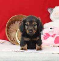 processed/af7e8eec-abfd-44cd-973d-76fe0b80efe9/listing/f05efd6b-91d9-498f-8105-025778490e7c/4f7546aa-6c8e-426a-8b0a-790061247af1