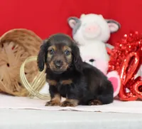 processed/af7e8eec-abfd-44cd-973d-76fe0b80efe9/listing/f05efd6b-91d9-498f-8105-025778490e7c/8f3748ca-e5e2-4f38-8d6f-b67b7a581459