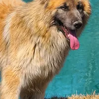 processed/af86dc70-9bc8-4de5-b170-066ed207a00b/facility/33d9a952-ceab-431c-998e-5cff2e542cad