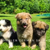 processed/af86dc70-9bc8-4de5-b170-066ed207a00b/facility/d058daef-2c31-4484-87be-8a560cc312dc