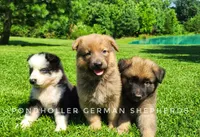 processed/af86dc70-9bc8-4de5-b170-066ed207a00b/facility/d058daef-2c31-4484-87be-8a560cc312dc