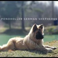 processed/af86dc70-9bc8-4de5-b170-066ed207a00b/facility/d139df86-2657-4129-909e-d5258cc52564