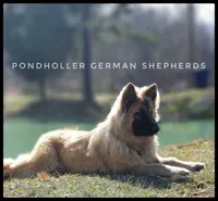 processed/af86dc70-9bc8-4de5-b170-066ed207a00b/facility/d139df86-2657-4129-909e-d5258cc52564