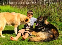 processed/af86dc70-9bc8-4de5-b170-066ed207a00b/facility/de890d84-eb94-42d6-a116-789e57baa3bb