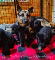 processed/af86dc70-9bc8-4de5-b170-066ed207a00b/listing/3518bed9-dd7d-4079-99a0-1783c01ae45f/538fd132-ad87-4236-ab56-9a7375bcff2c