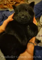 processed/af86dc70-9bc8-4de5-b170-066ed207a00b/listing/3518bed9-dd7d-4079-99a0-1783c01ae45f/c4645084-ace7-48fd-a30a-a0a102f5319f