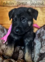 processed/af86dc70-9bc8-4de5-b170-066ed207a00b/listing/a307b930-06a4-4305-8f99-e7bf22bcd585/57bc5004-aec5-4c3f-8725-a81cc44cc871