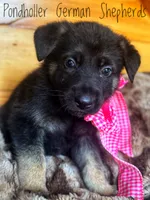 processed/af86dc70-9bc8-4de5-b170-066ed207a00b/listing/a307b930-06a4-4305-8f99-e7bf22bcd585/a4ba53fa-ee02-4a84-9adb-f618b7090401