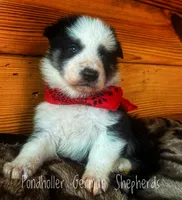 processed/af86dc70-9bc8-4de5-b170-066ed207a00b/listing/bf7e5cfd-f7ac-4df5-884d-4e9f9c7c7281/b57170ea-4d20-4493-b8d4-0f490cd64e0b