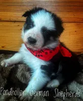 processed/af86dc70-9bc8-4de5-b170-066ed207a00b/listing/bf7e5cfd-f7ac-4df5-884d-4e9f9c7c7281/c2d9bcbd-33ff-4514-abba-de833e837a2d