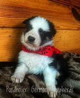 processed/af86dc70-9bc8-4de5-b170-066ed207a00b/listing/bf7e5cfd-f7ac-4df5-884d-4e9f9c7c7281/fec379ff-fab2-4c39-a247-76959562ac54