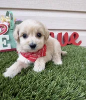 processed/af93748f-c08e-4ebf-9902-fc1351f465f2/listing/1fdfb3e6-39c8-4f77-93e2-efe6de4778a0/0acadd3a-97ef-4916-884d-9eb36a5d4550