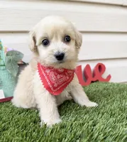 processed/af93748f-c08e-4ebf-9902-fc1351f465f2/listing/1fdfb3e6-39c8-4f77-93e2-efe6de4778a0/2eb2d3db-71f2-456c-b9d8-40c25e328593