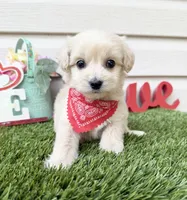 processed/af93748f-c08e-4ebf-9902-fc1351f465f2/listing/1fdfb3e6-39c8-4f77-93e2-efe6de4778a0/49b71918-1a38-4af9-9b95-ebaf535c08e1