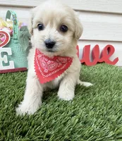 processed/af93748f-c08e-4ebf-9902-fc1351f465f2/listing/1fdfb3e6-39c8-4f77-93e2-efe6de4778a0/a1186999-e373-457b-8fc1-d98849e70245