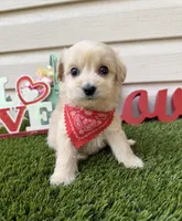 processed/af93748f-c08e-4ebf-9902-fc1351f465f2/listing/1fdfb3e6-39c8-4f77-93e2-efe6de4778a0/b279a615-39bf-4e56-9c5c-c6376ce10394