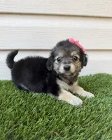 processed/af93748f-c08e-4ebf-9902-fc1351f465f2/listing/cd2d5a37-948a-4b9b-a8f2-9fadc3ad29be/21be804c-7e53-4799-ba4f-b3fef6891a29