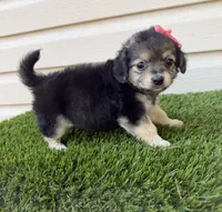 processed/af93748f-c08e-4ebf-9902-fc1351f465f2/listing/cd2d5a37-948a-4b9b-a8f2-9fadc3ad29be/251af3a2-96c5-4c6d-9850-a1fca382e81f