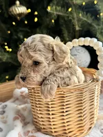 processed/af948279-f4b1-4371-81a9-835a34c2cbbc/listing/7ee9a75c-d1a1-485b-9070-e5ef2e9850c0/80c7aacc-4ded-4414-8156-1e1b3d945e32