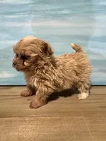 processed/af948279-f4b1-4371-81a9-835a34c2cbbc/listing/e79037a9-6b32-4292-8705-253cf1b7123b/09ce84af-1e6f-4f5a-bb3c-a8074b21184d