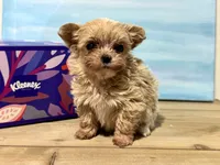 processed/af948279-f4b1-4371-81a9-835a34c2cbbc/listing/e79037a9-6b32-4292-8705-253cf1b7123b/74fc2132-3503-4646-9e14-d3a53243a6b1