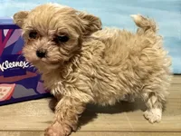 processed/af948279-f4b1-4371-81a9-835a34c2cbbc/listing/e79037a9-6b32-4292-8705-253cf1b7123b/ebe368af-6e9a-47ce-82c5-387012678d9d