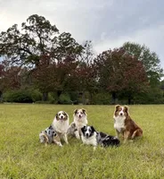 processed/af9650b0-3f27-4862-8375-adb365ff2fbf/facility/b8e5f26b-1d02-4bc9-83e2-ef4a0dd20993