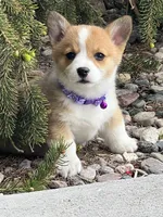 processed/af9a774f-16ca-4bdf-8b10-e70ae1b44826/facility/18319037-1a22-48d3-bce3-c8f62a73eef5