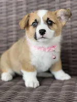 processed/af9a774f-16ca-4bdf-8b10-e70ae1b44826/facility/468b6a53-4802-4158-9104-bcfd2b33d3ef