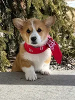 processed/af9a774f-16ca-4bdf-8b10-e70ae1b44826/facility/4c06322f-8e54-45f6-9507-57751a31f7d3