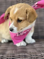 processed/af9a774f-16ca-4bdf-8b10-e70ae1b44826/facility/58ed5c75-a000-4364-9cc4-d599eec28986