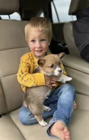 processed/af9a774f-16ca-4bdf-8b10-e70ae1b44826/facility/91cf6b8f-574e-4842-92a4-9672966b90df