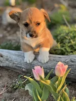 processed/af9a774f-16ca-4bdf-8b10-e70ae1b44826/facility/f5e60aa8-d6ef-4f0c-8a18-4bfc0d414ea5