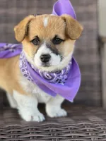 processed/af9a774f-16ca-4bdf-8b10-e70ae1b44826/facility/ff792437-f778-4977-9ab3-f580d9b9dbad