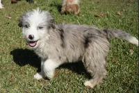 processed/afa53ab6-fe76-409e-98b6-34fe11438367/listing/372ad71b-7d13-4466-96ef-f20fc4b57c35/80d759a6-dc32-4c5d-9d98-6a0e82efe7dd