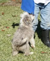 processed/afa53ab6-fe76-409e-98b6-34fe11438367/listing/372ad71b-7d13-4466-96ef-f20fc4b57c35/f9f5062d-ca38-4fa1-b6b2-d89a6cdbf9ab