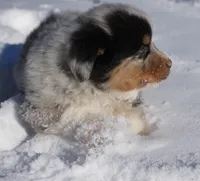 processed/afa53ab6-fe76-409e-98b6-34fe11438367/listing/7db71668-5287-40d1-974d-b5984c86b25e/027b6eb4-21b4-4190-98c1-3504167ba338