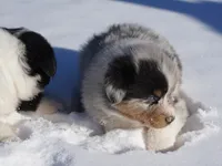 processed/afa53ab6-fe76-409e-98b6-34fe11438367/listing/7db71668-5287-40d1-974d-b5984c86b25e/0b618f96-ba68-45be-a8db-a055bbbb47a7