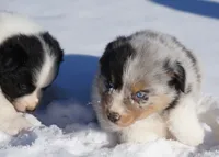 processed/afa53ab6-fe76-409e-98b6-34fe11438367/listing/7db71668-5287-40d1-974d-b5984c86b25e/18acdc3d-f414-4c07-9b53-89b1ff812f95