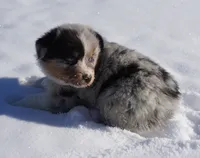 processed/afa53ab6-fe76-409e-98b6-34fe11438367/listing/7db71668-5287-40d1-974d-b5984c86b25e/4b33cdbb-b96d-4b21-b4d0-b1f13c1a4855