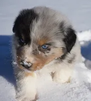 processed/afa53ab6-fe76-409e-98b6-34fe11438367/listing/7db71668-5287-40d1-974d-b5984c86b25e/506c42b6-1e68-446e-8926-14f0993a596a