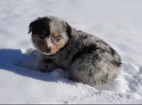 processed/afa53ab6-fe76-409e-98b6-34fe11438367/listing/7db71668-5287-40d1-974d-b5984c86b25e/b3d1427d-5d19-4066-ba97-c97d378ce1d6